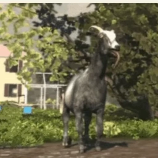 🐐 Стикер «Козлы» для Telegram