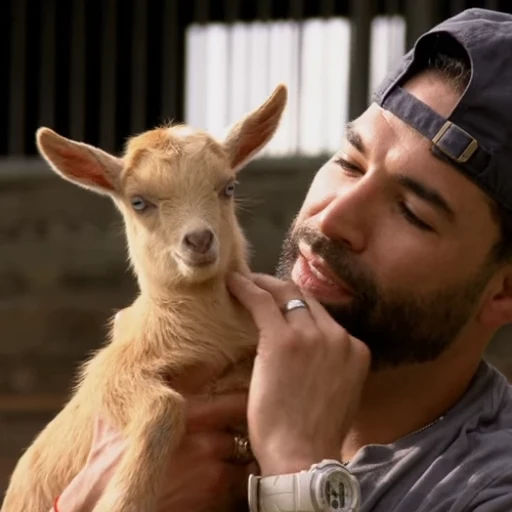 🐐 Стикер «Козлы» для Telegram