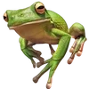 🐸 Эмодзи «квакушки» для Telegram