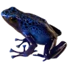 🐸 Эмодзи «квакушки» для Telegram