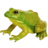 🐸 Эмодзи «квакушки» для Telegram