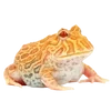 🐸 Эмодзи «квакушки» для Telegram