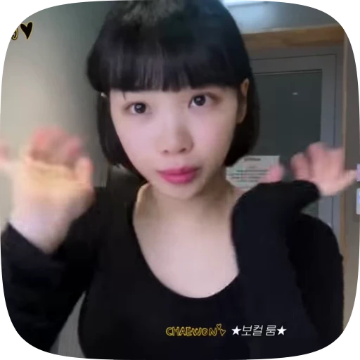 🧸 Стикер «chaewon» для Telegram