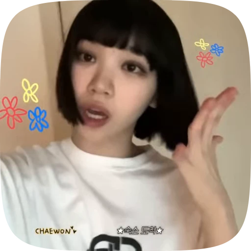 🧸 Стикер «chaewon» для Telegram