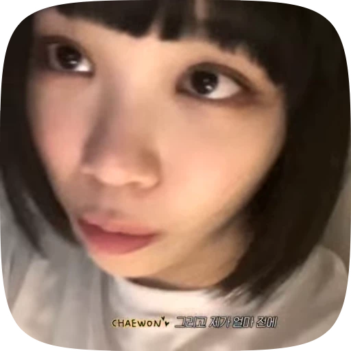 🧸 Стикер «chaewon» для Telegram