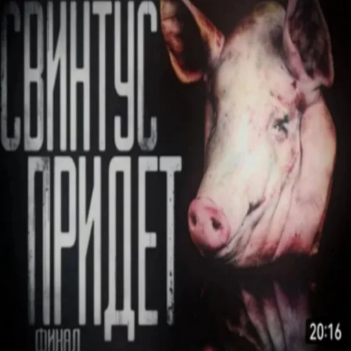 🐷 Стикер «КРИПОВЫЕ СТРАШНЫЕ ИСТОРИИ» для Telegram