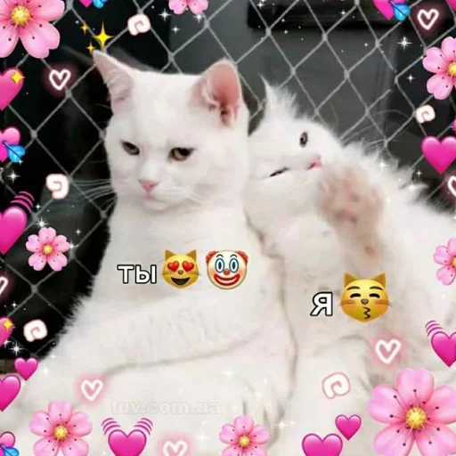 🤡 Стикер «❤❤❤» для Telegram
