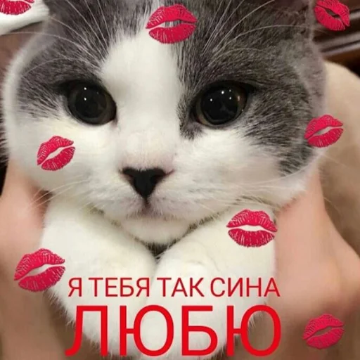 💋 Стикер «❤❤❤» для Telegram