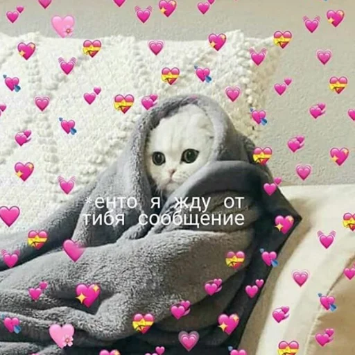 💞 Стикер «❤❤❤» для Telegram