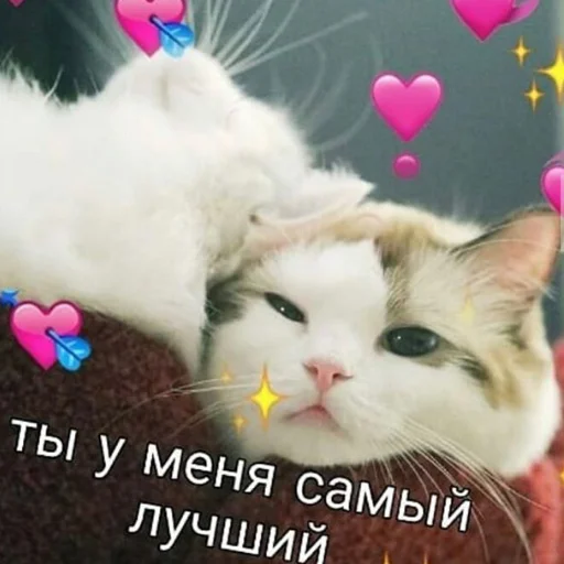 💘 Стикер «❤❤❤» для Telegram
