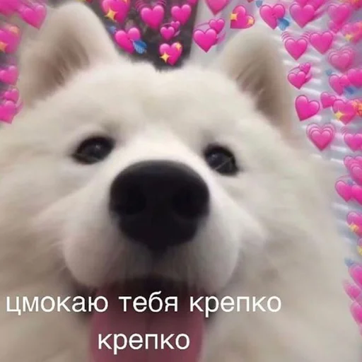 🥰 Стикер «❤❤❤» для Telegram