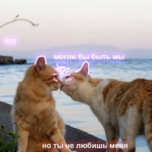 😢 Стикер «❤❤❤» для Telegram