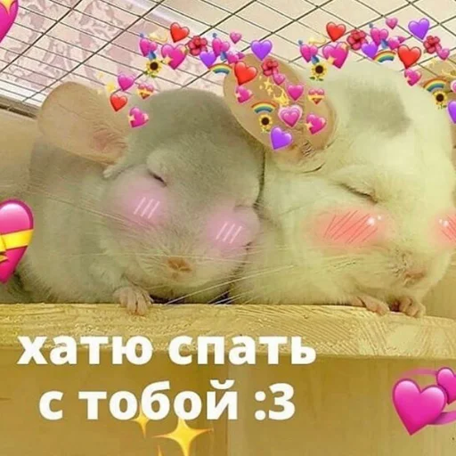 🥱 Стикер «❤❤❤» для Telegram