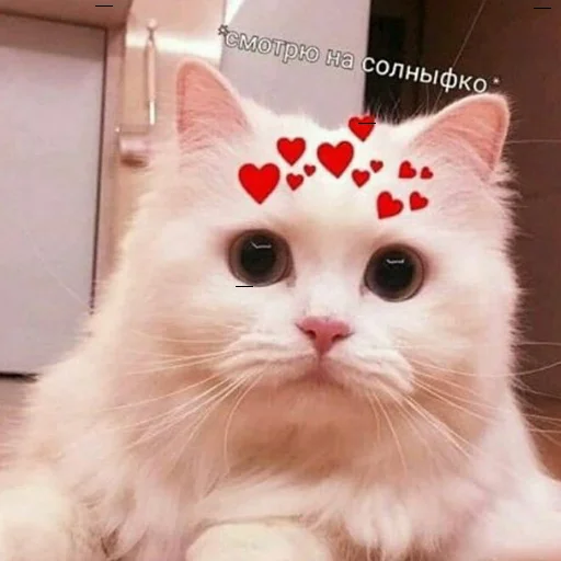 ❤️ Стикер «❤❤❤» для Telegram