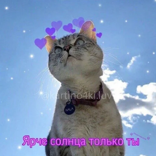 💜 Стикер «❤❤❤» для Telegram