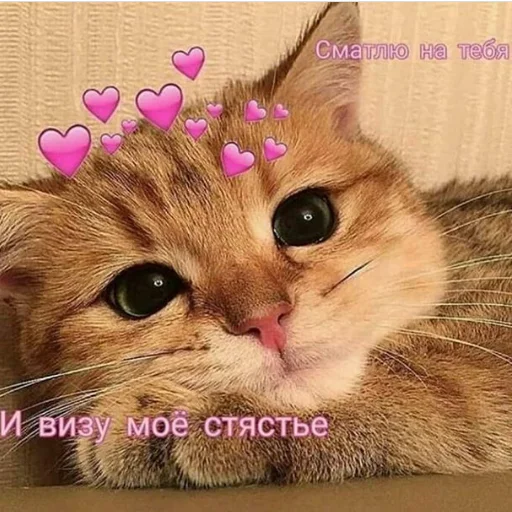 💖 Стикер «❤❤❤» для Telegram