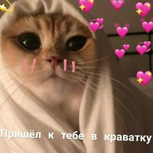 💞 Стикер «❤❤❤» для Telegram