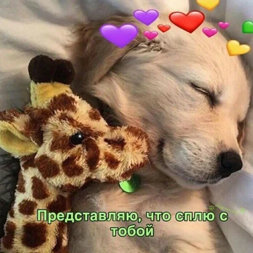 😴 Стикер «❤❤❤» для Telegram