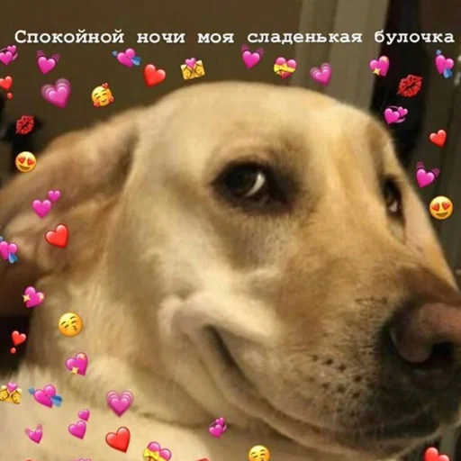 😴 Стикер «❤❤❤» для Telegram