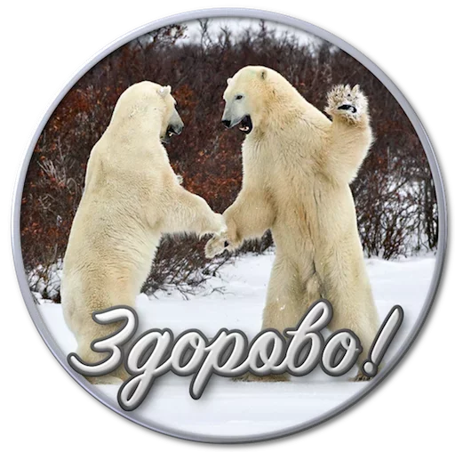 🤪 Стикер «Paints» для Telegram
