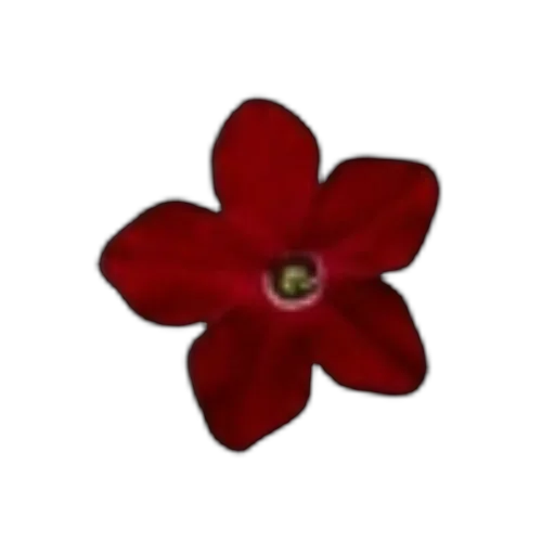 ❤ Стикер «red» для Telegram