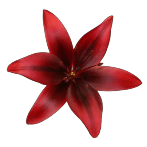 ❤ Стикер «red» для Telegram