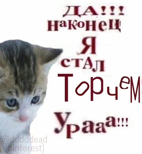 💕 Стикер «ебать кринж» для Telegram