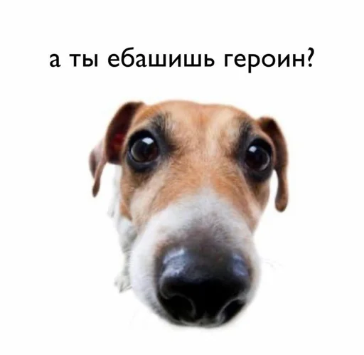 🙈 Стикер «ебать кринж» для Telegram