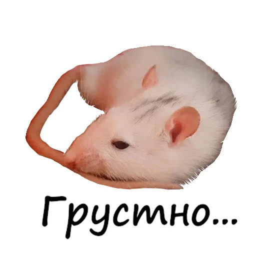 😥 Стикер «Ёся» для Telegram
