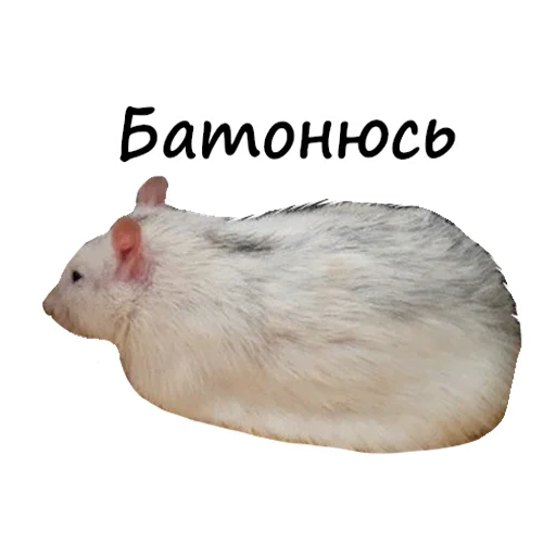 🍞 Стикер «Ёся» для Telegram