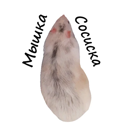 🐀 Стикер «Ёся» для Telegram