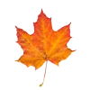 🍁 Эмодзи «Aesthetic - осенний вайб» для Telegram