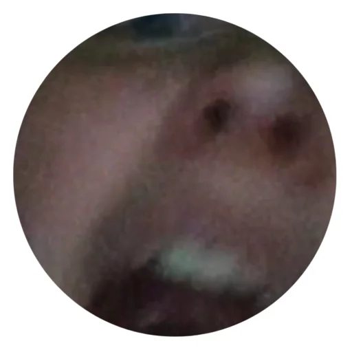 🙊 Стикер «Крістінка шаліт» для Telegram