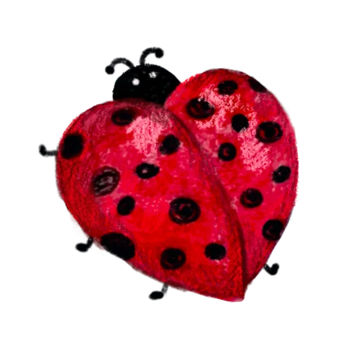 🐞 Стикер «Кроли» для Telegram