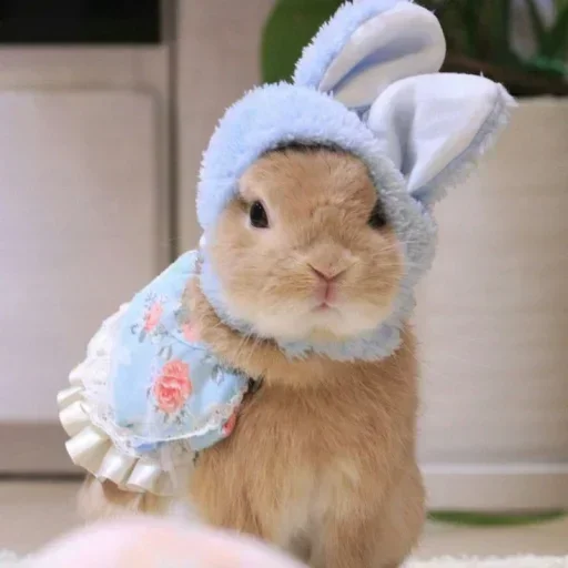 🥕 Стикер «Кролики» для Telegram