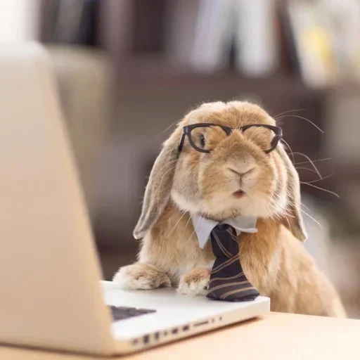 🥕 Стикер «Кролики» для Telegram