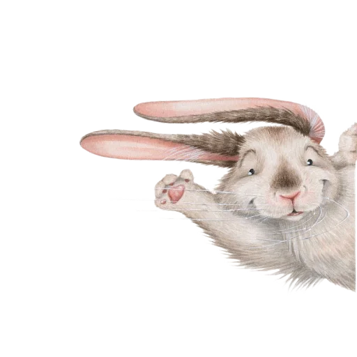 🐇 Стикер «Кроличья лапка» для Telegram