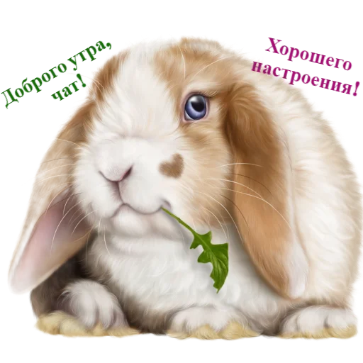 👋 Стикер «Кроличья лапка» для Telegram