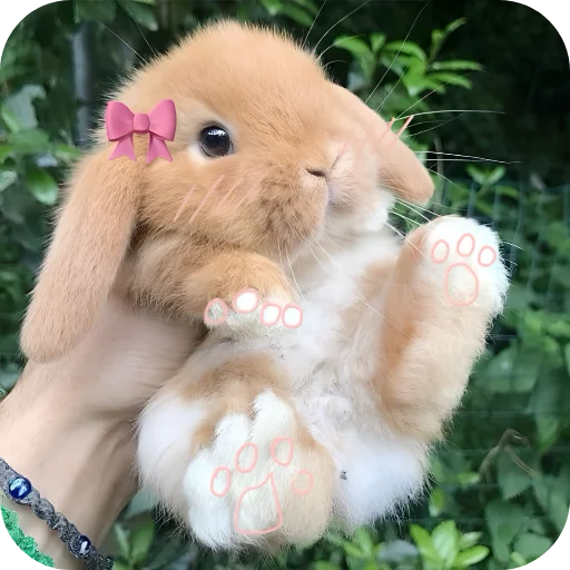 🥰 Стикер «Кролики 1» для Telegram