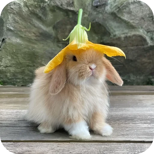 🥰 Стикер «Кролики 1» для Telegram