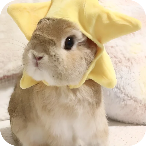🥰 Стикер «Кролики 1» для Telegram