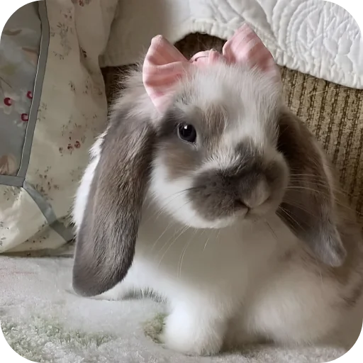 🥰 Стикер «Кролики 1» для Telegram