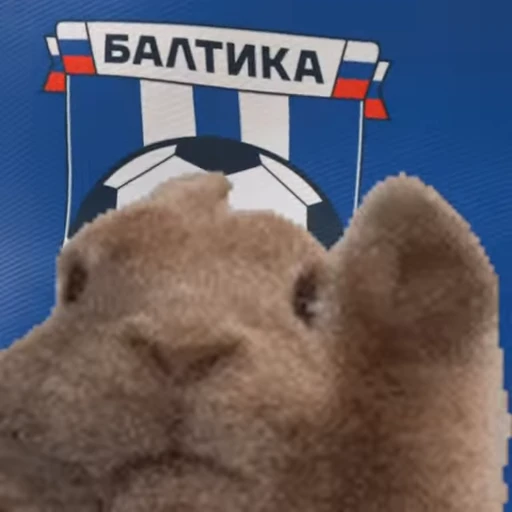 🤣 Стикер «клубы» для Telegram