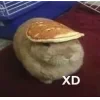 Стикер 10 Кроликсы
