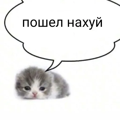 🥹 Стикер «ты не картошка..» для Telegram