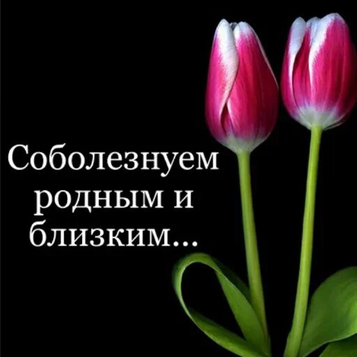 🕯️ Стикер «ачё)» для Telegram