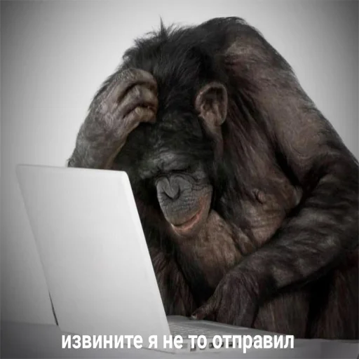 😔 Стикер «ачё)» для Telegram