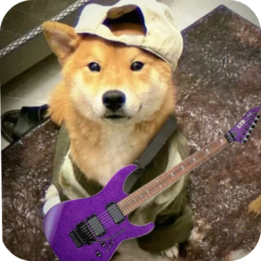 🐶 Стикер «КРУТЫЕ ПСЫ» для Telegram