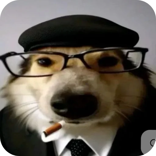 🖼 Стикер «КРУТЫЕ ПСЫ» для Telegram