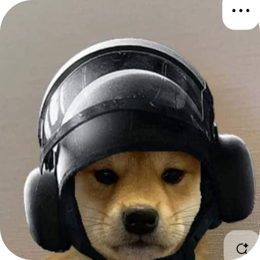 🐶 Стикер «КРУТЫЕ ПСЫ» для Telegram